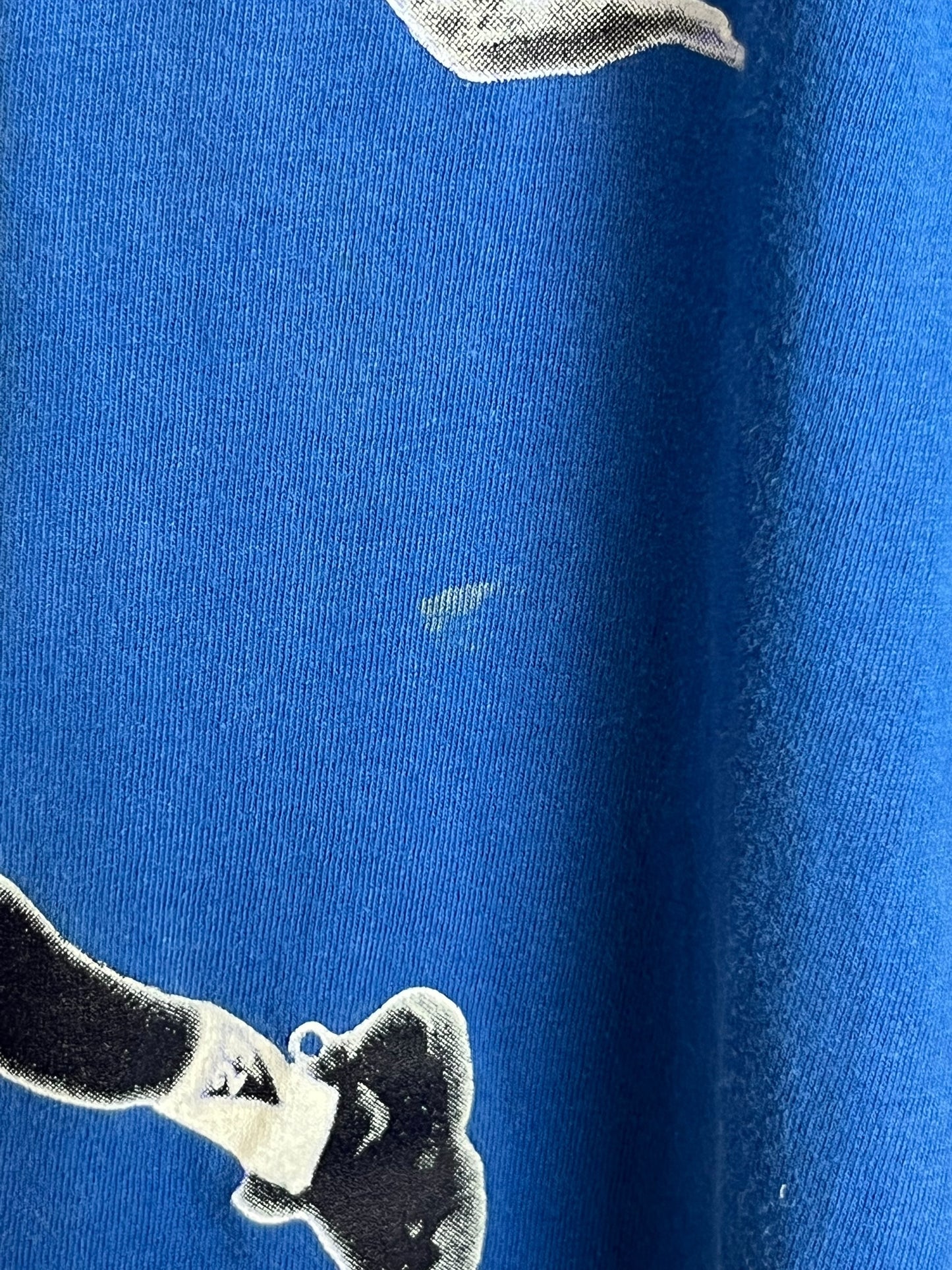 Vintage 1997 Nike Space Jam “Hare Jordan” T shirt