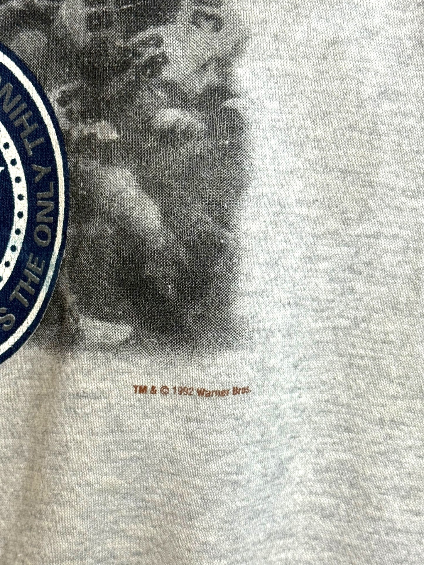 Vintage 1992 Taz Mania x Dallas Cowboys Promo Crewneck