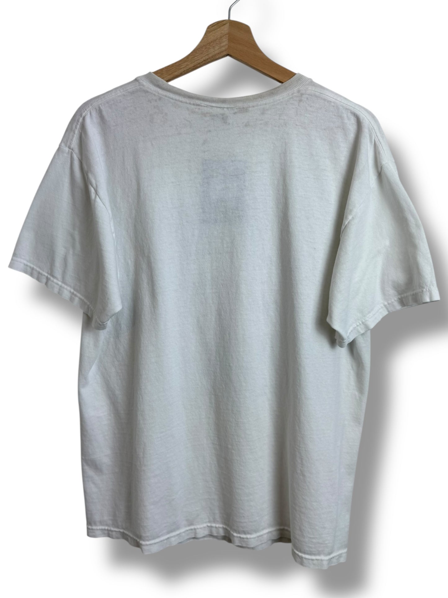 Vintage 2000’s Fat Albert “Stone Soul Picnik” T Shirt