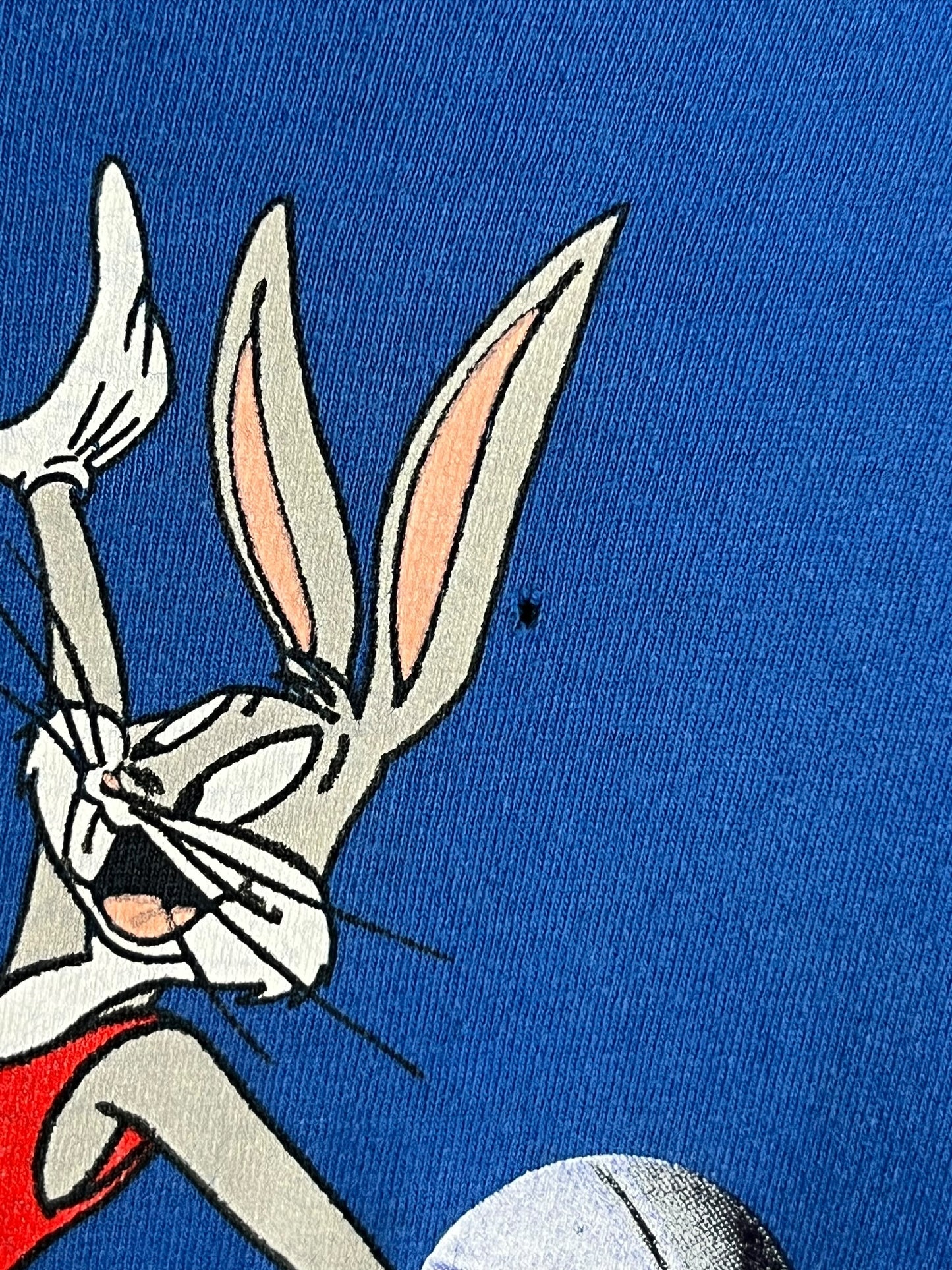 Vintage 1997 Nike Space Jam “Hare Jordan” T shirt
