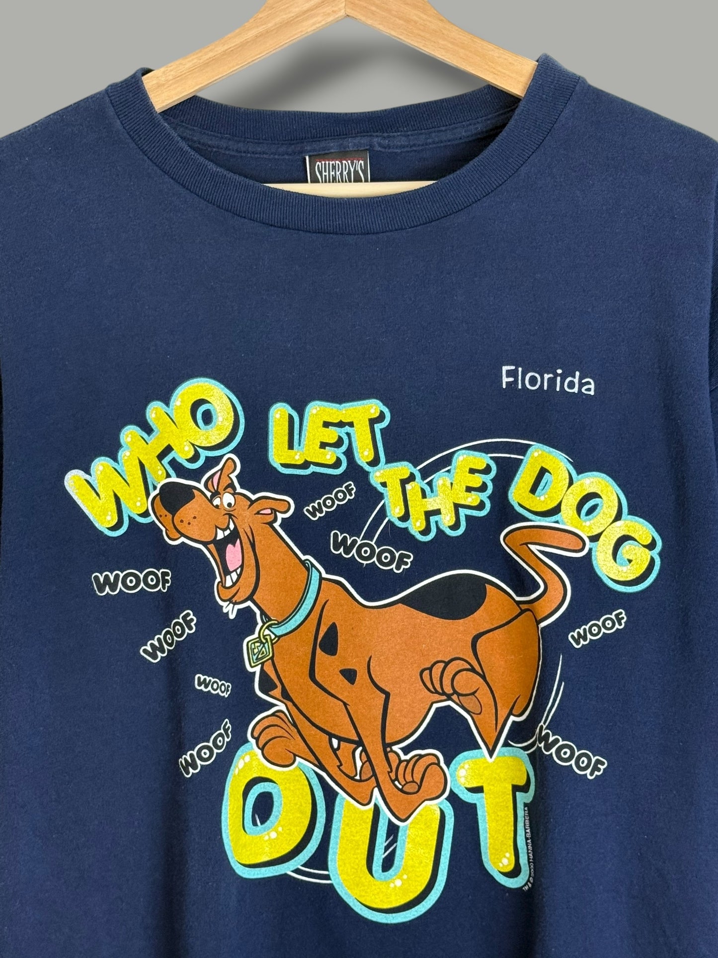 Vintage 2000 Scooby Doo "Who Let The Dog Out" T Shirt