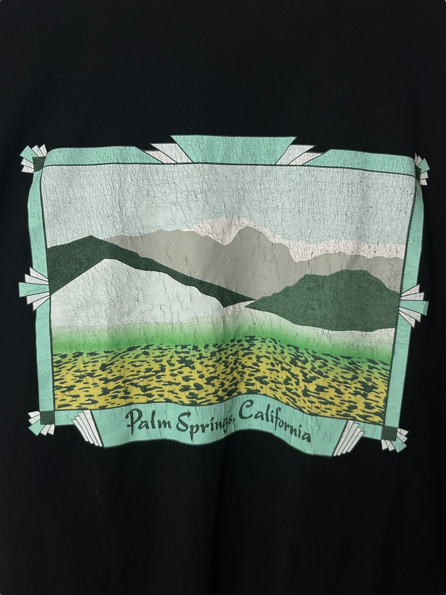 Vintage Stussy “Palm Springs” T shirt