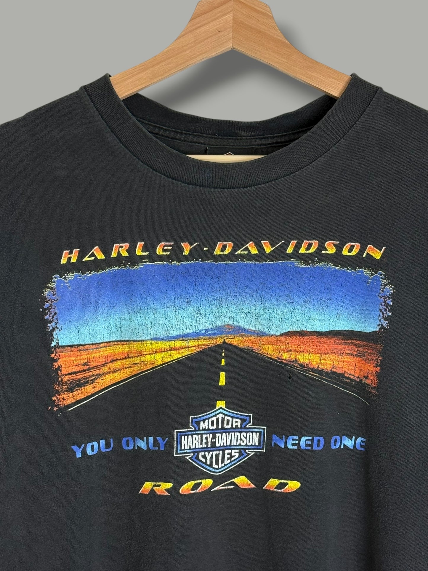 Vintage 2000's Harley Davidson "You Only Need One Road" T Shirt
