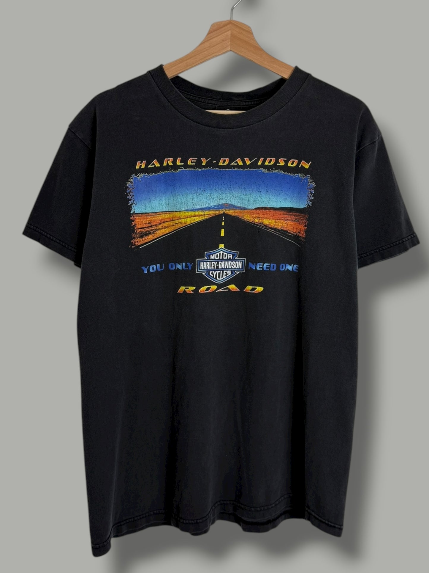 Vintage 2000's Harley Davidson "You Only Need One Road" T Shirt