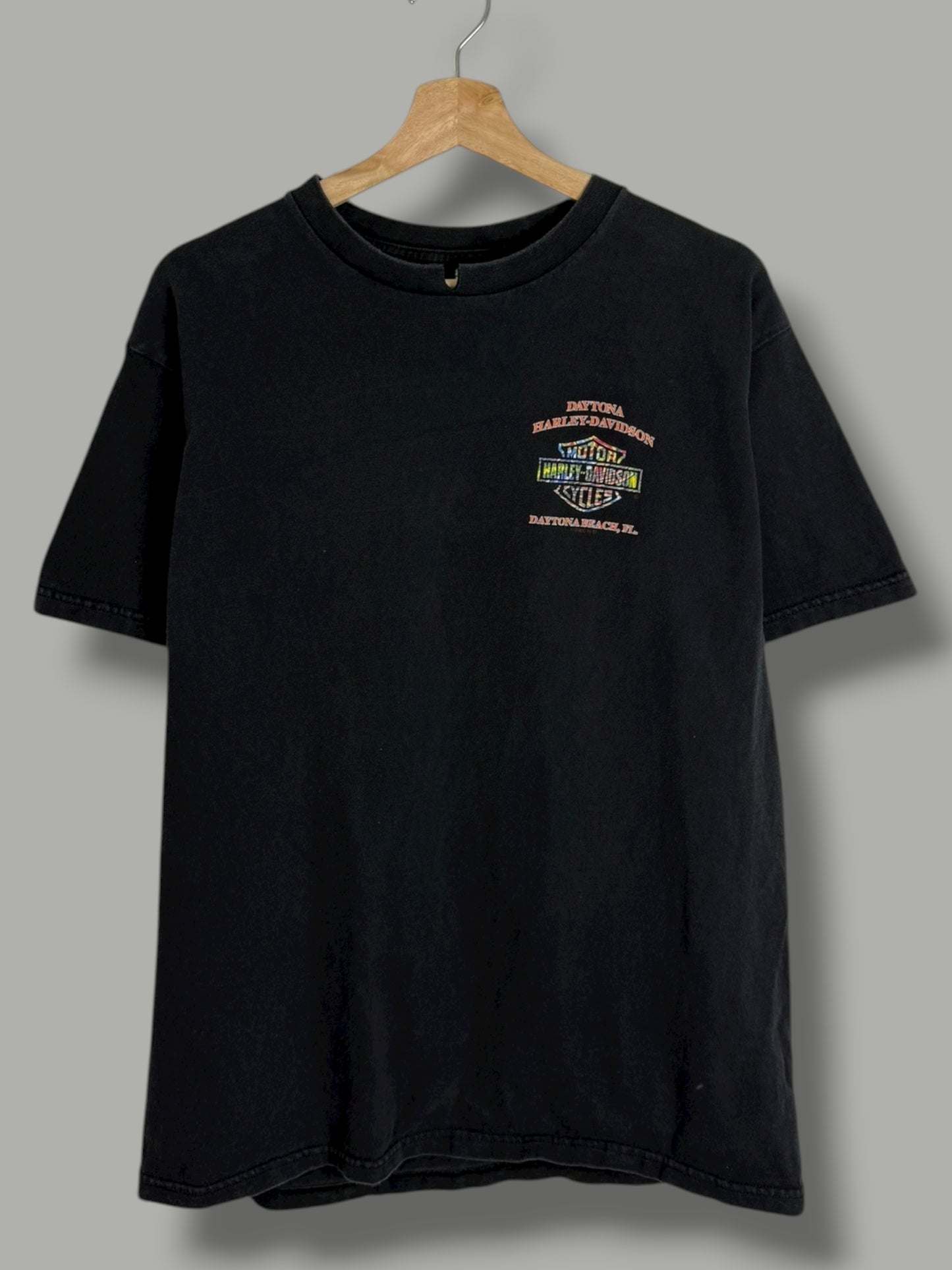 Vintage 2001 "Daytons Bike Week" Harley Davidson T Shirt