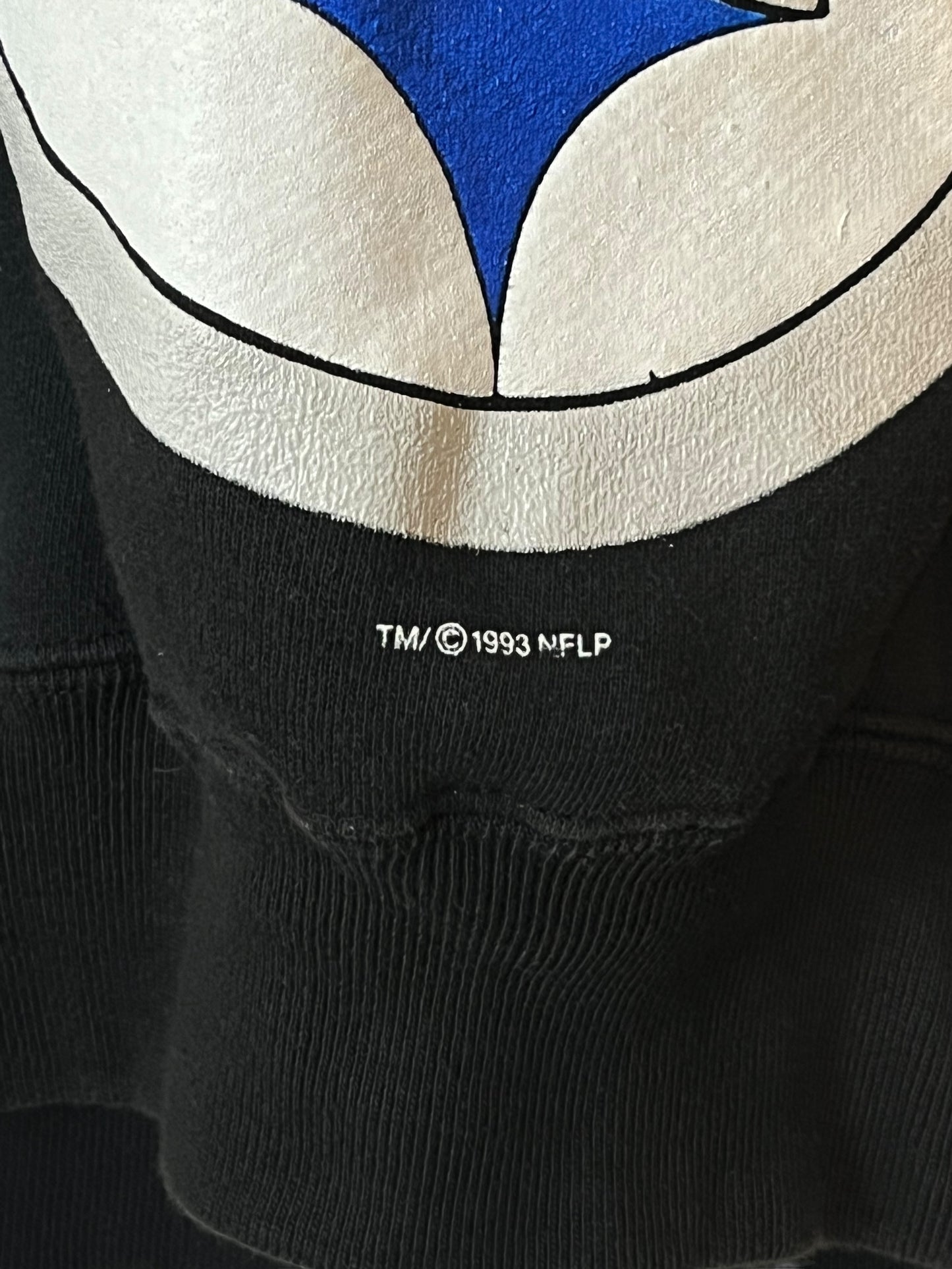 Vintage 1993 Pittsburgh Steelers Hoodie
