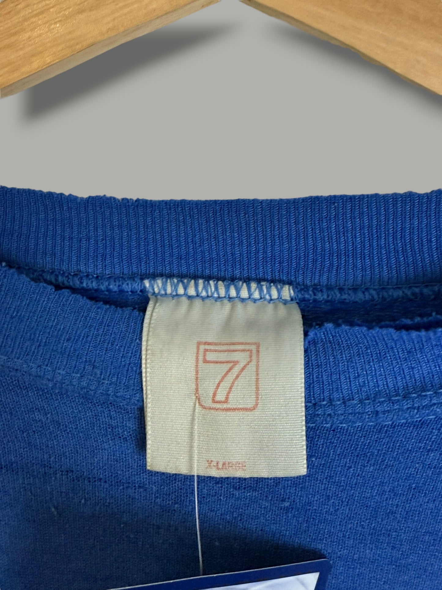 Vintage 90's Detroit Piston Crewneck